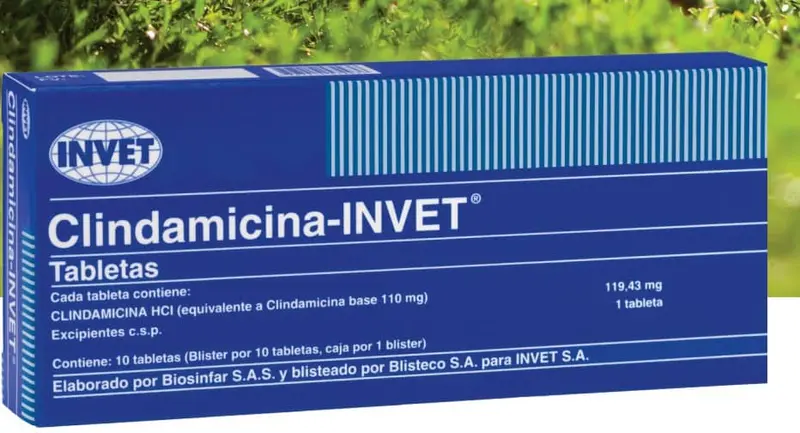 Clindamicina oral blister x 10 tabletas