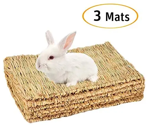 Cloud-X - Juego de 3 alfombrillas para conejo, pajita natural, para masticar, juguetes, para animales pequeños, como cobayas, loros, conejos, hámster