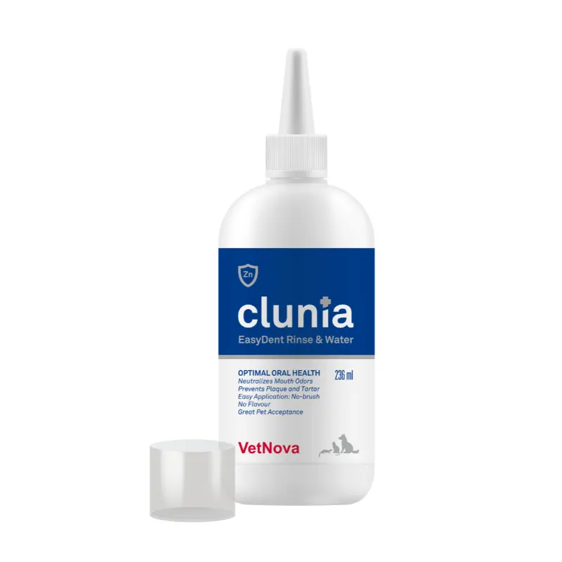 Clunia Easy Dent Rinse & Water (236 ml) – VetNova