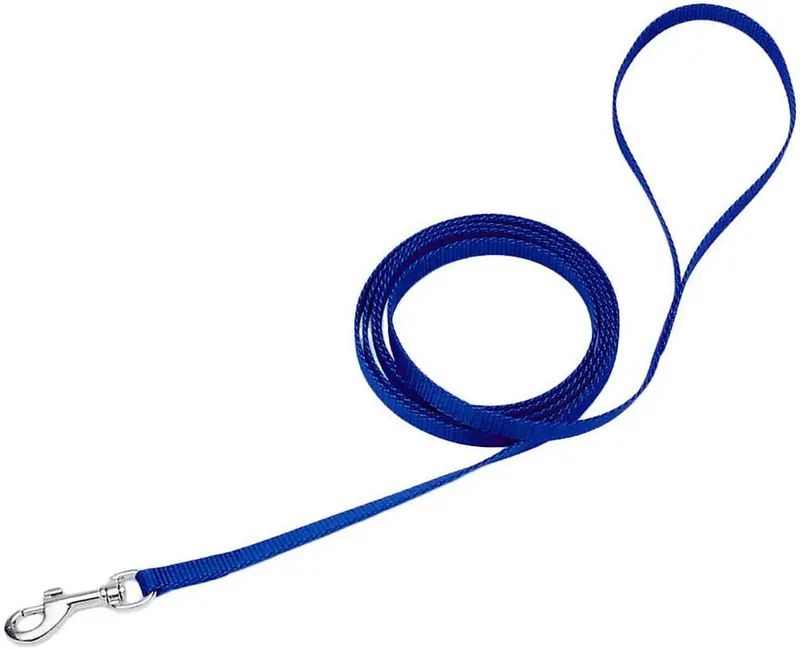 Coastal Correa del perro Pequeño – 4 ft. Azul con una anchura de 3/8 in., s, Azul