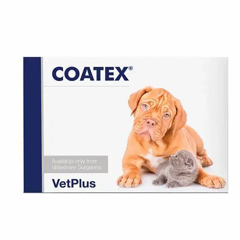 Coatex 240 Cápsulas – Ácidos Grasos Esenciales para Piel y Pelo de Perros y Gatos | VetPlus