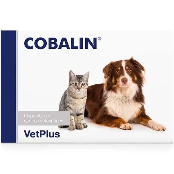 Cobalin 60 Cápsulas – Vitamina B12 y B9 para Perros y Gatos
