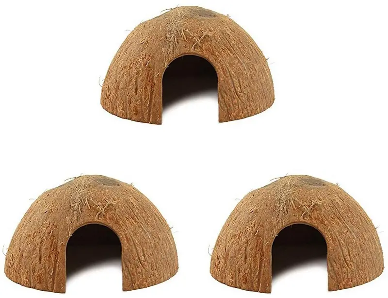 Coco para ocultar Reptiles o pescado