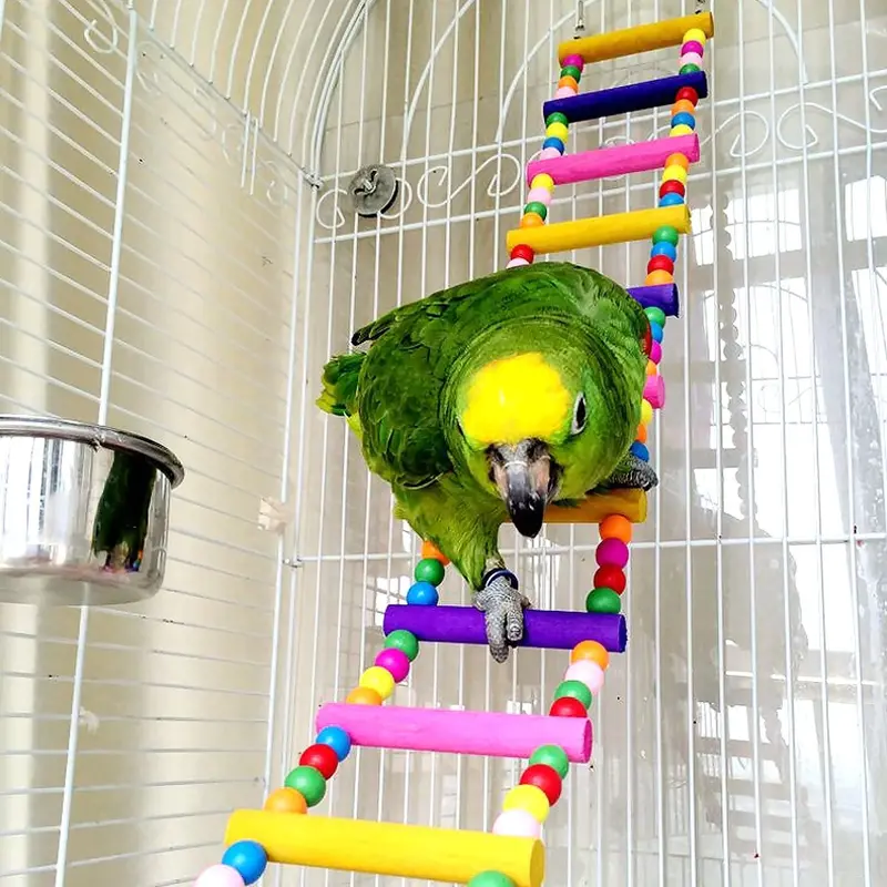 CoCogo Juguete para pájaros para loro, columpios, escaleras para entrenamiento de mascotas