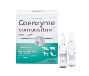 Coenzyme Compositum Ad Us Vet Amp 5 Ml
