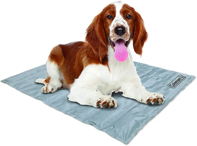Coleman Alfombrilla de gel de refrigeración para mascotas, activada por presión, para mascotas medianas, mantiene a tu mascota fresca y reduce el dolor en las articulaciones. Año Redondo
