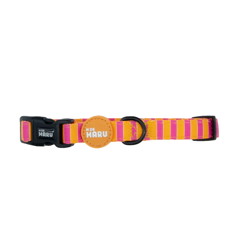 Collar Ajustable Aura