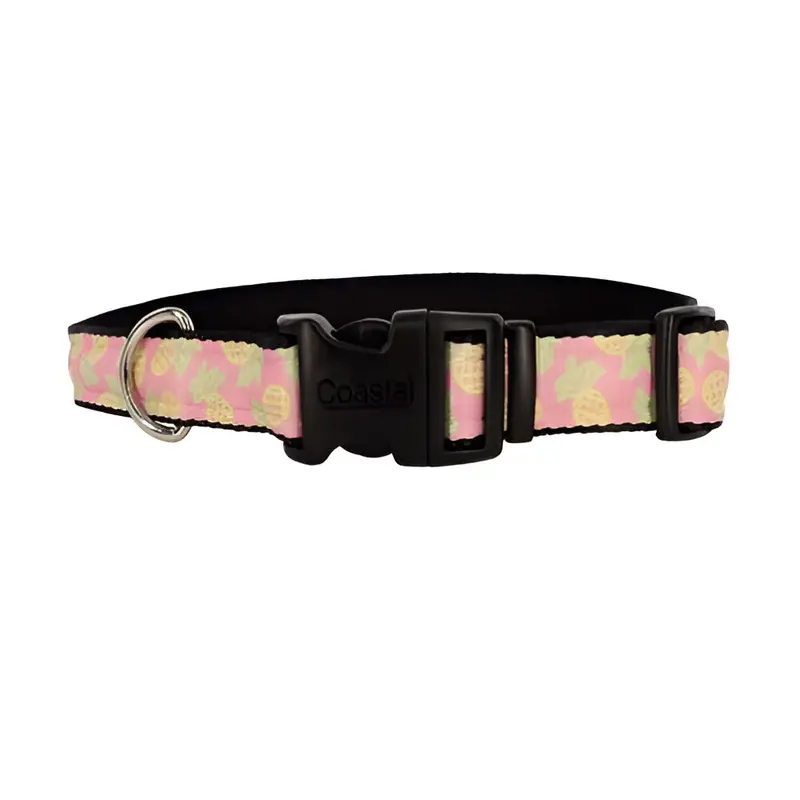 Collar Amarillo Pinita 1" x 18"- 26"