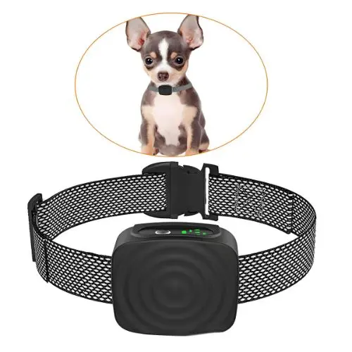 Collar Antiladridos Perro Pequeño