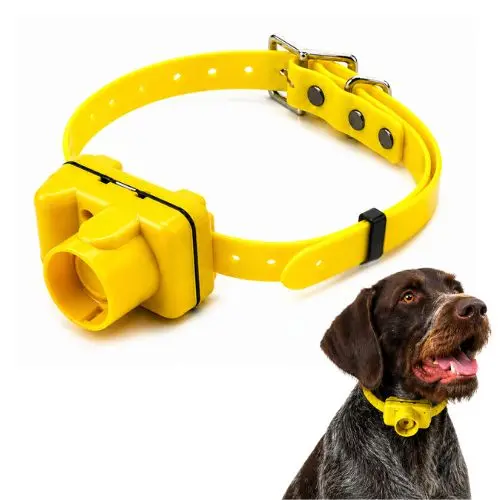 Collar becada para perros de caza con sonido | Beeper