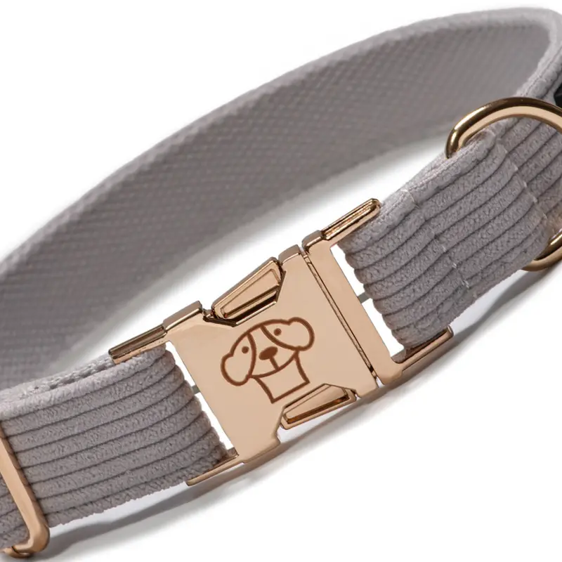 Collar Classic Grey