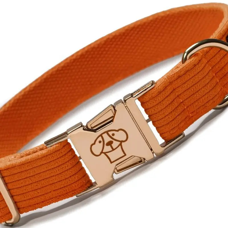 collar classic Orange