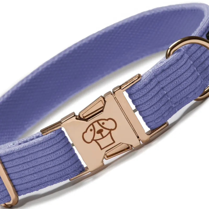 Collar Classic Purple