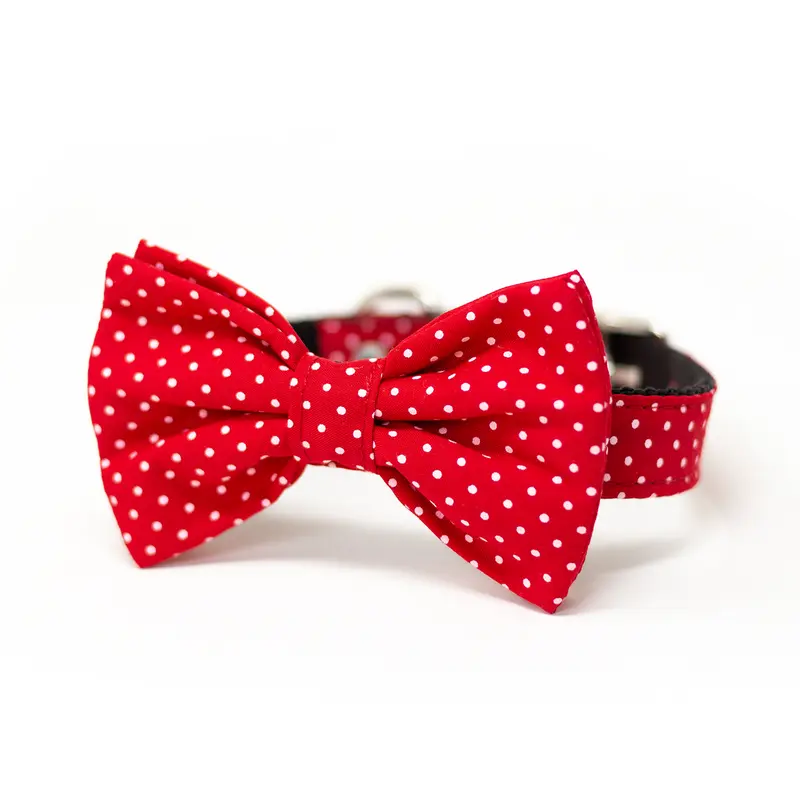 Collar de Corbata de Moño Rojo de Puntos para Perro de Jack Pet Style