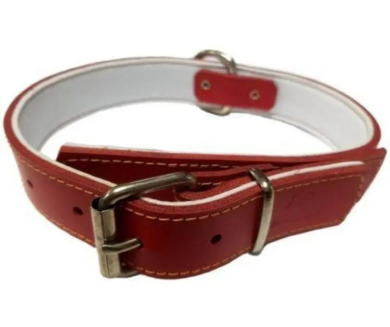 Collar de cuero para Perros Confort