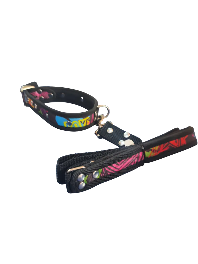 COLLAR DELUXE + CORREA