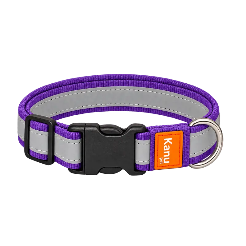 Collar Generico Morado Kanu Pet para Perro