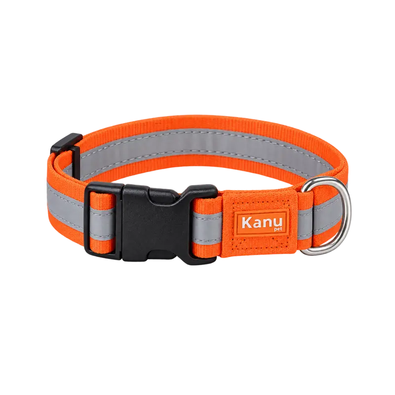 Collar Generico Naranja Kanu Pet para Perro