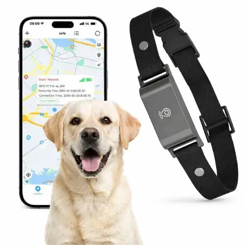 Collar GPS para Perros