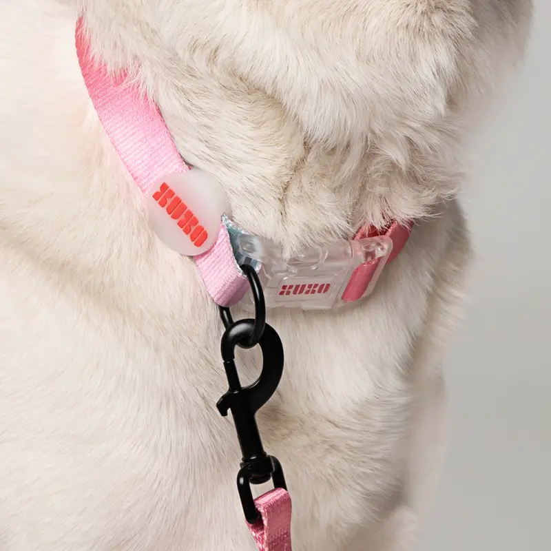 Collar // NEON PARTY SUNRISE