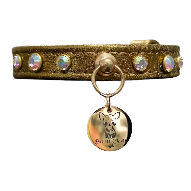 Collar "PawRocks" Boreal Sun