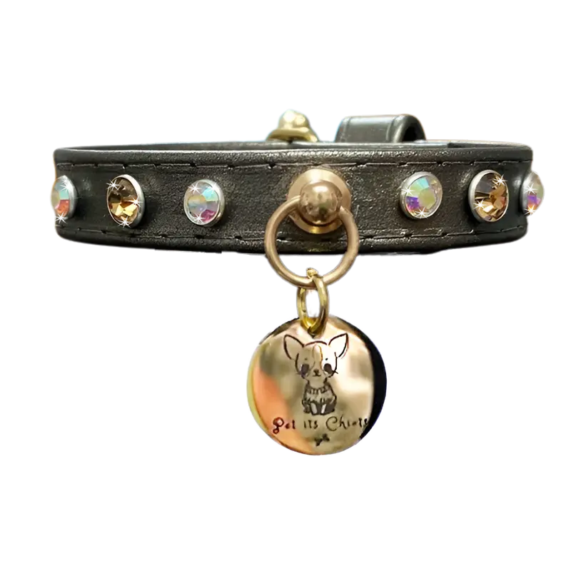 Collar "PawRocks" Dune