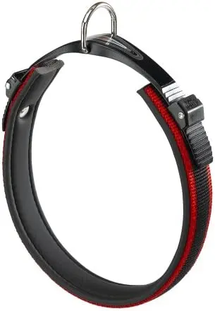Collar Perro Ergocomfort C15/42 Rojo