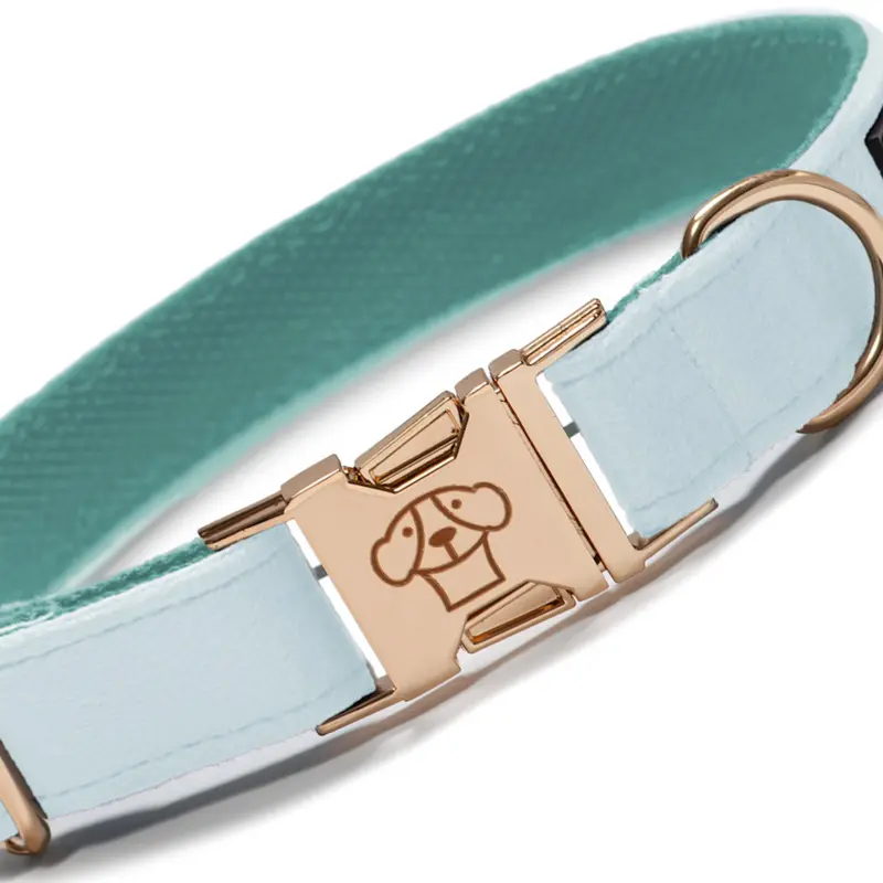 Collar velvet Blue Clear