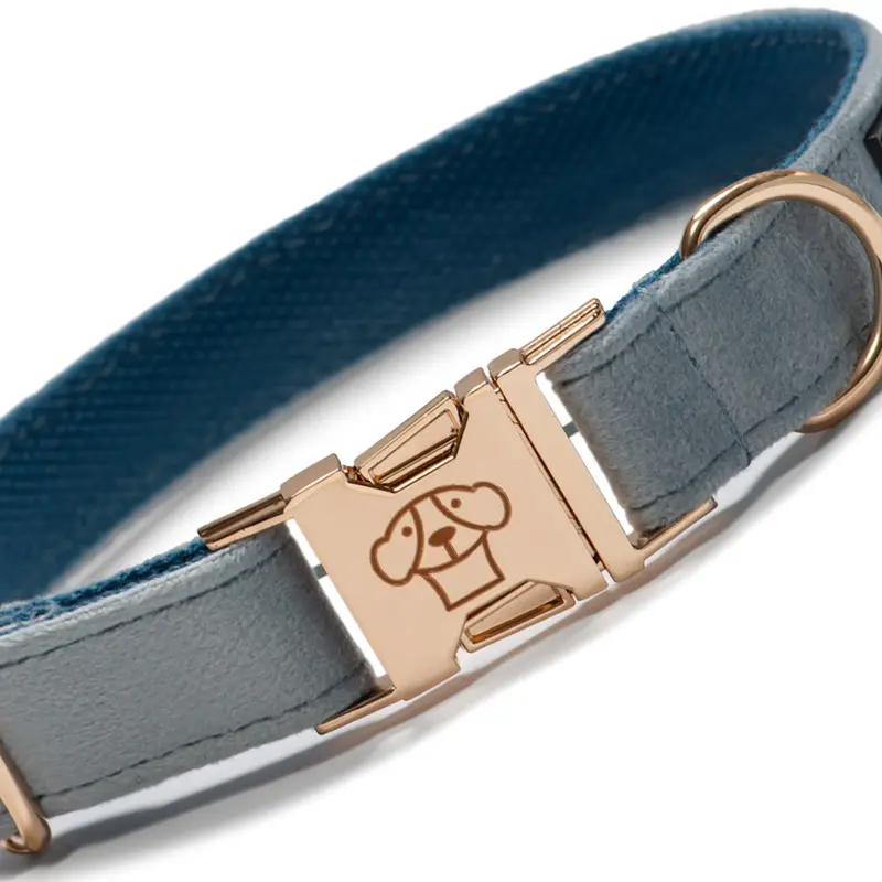 Collar velvet Blue Dark