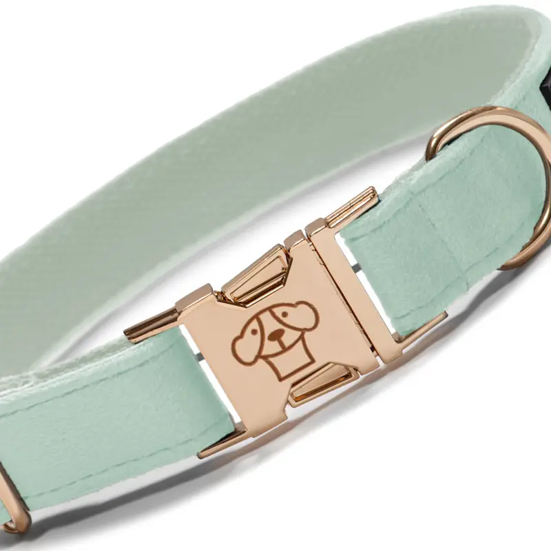 Collar velvet Green Clear