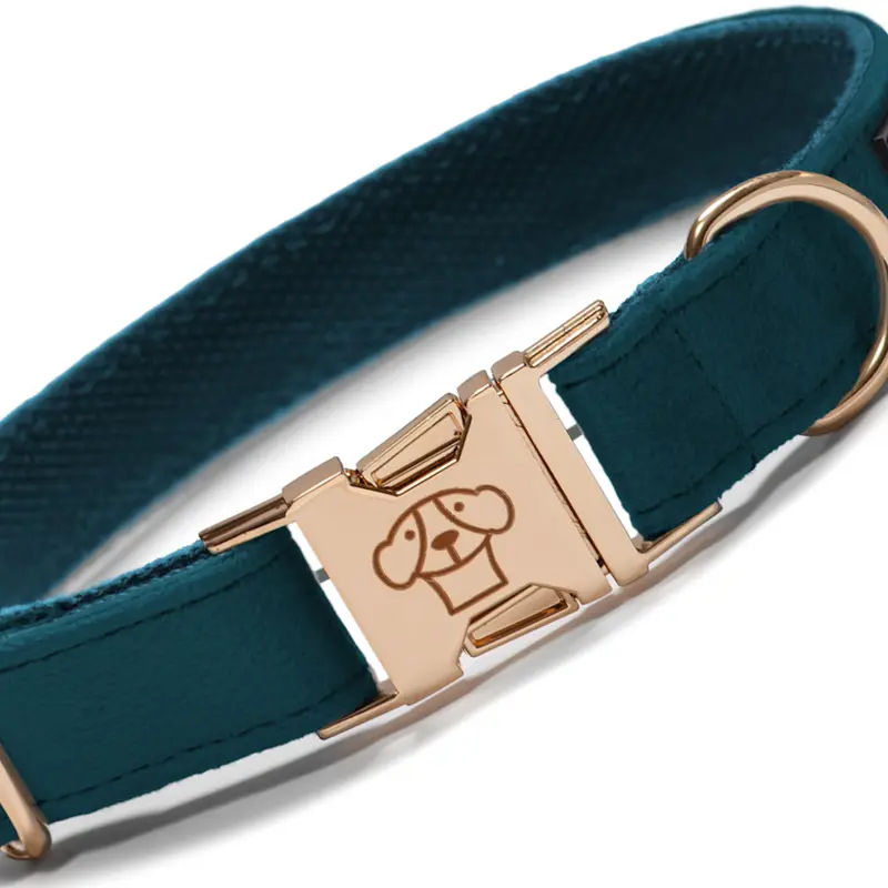 Collar velvet Teal