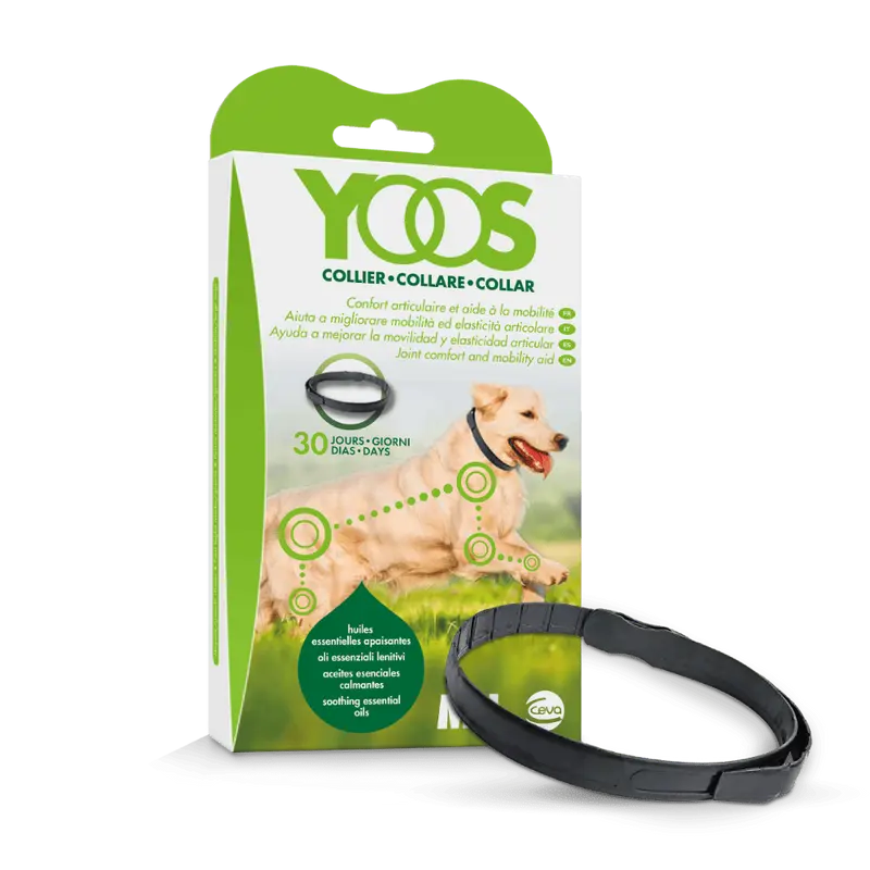 Collar Yoos Perros Talla M / L