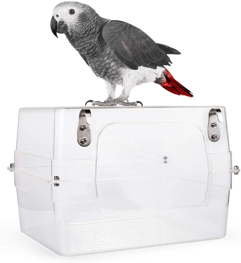 Colorday - Baño grande para pájaros con vista clara, para grises, Amazonas, conures, cocatielas, parakeet.
