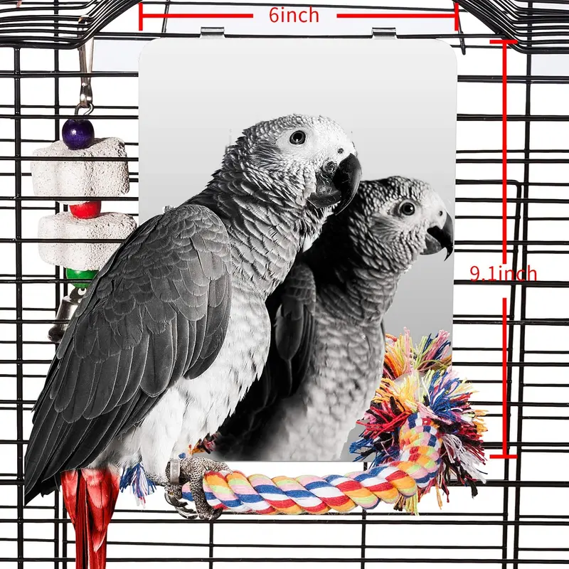 Colorday - Espejo de acero inoxidable para pájaros con percha de cuerda, columpio para pájaros, perca cómoda para canarios grises, amazones, periquitos, cacatúas, conuras, pájaros pinzones.