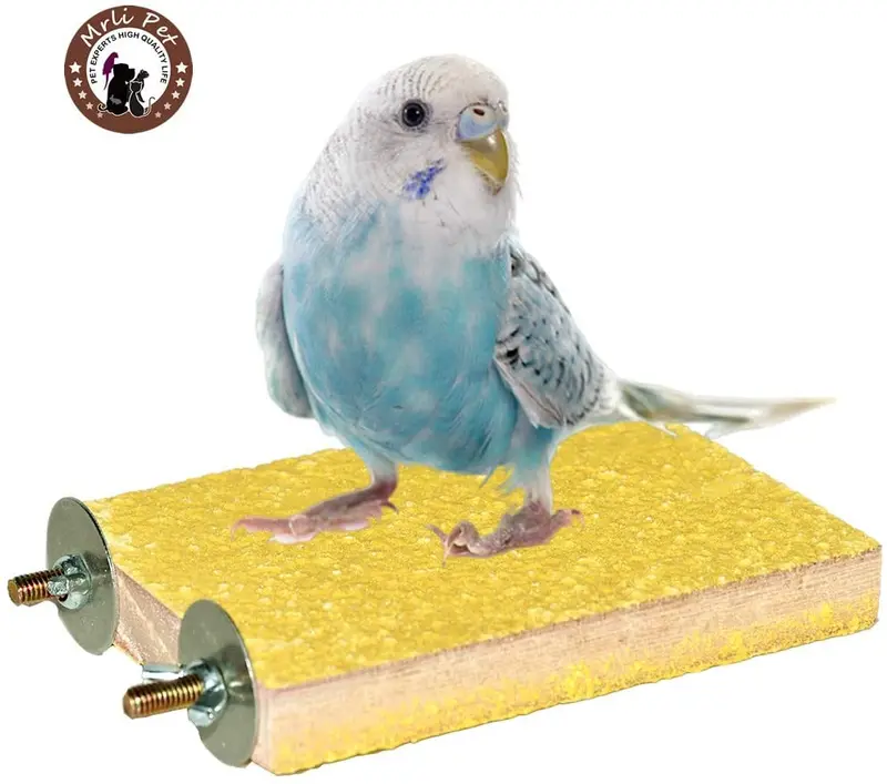 Colorido soporte para perca de pájaro, plataforma de madera natural para parque de recreo, molienda de patas, limpieza para mascotas, loros, parakeet, cacatías, conure Lovebirds