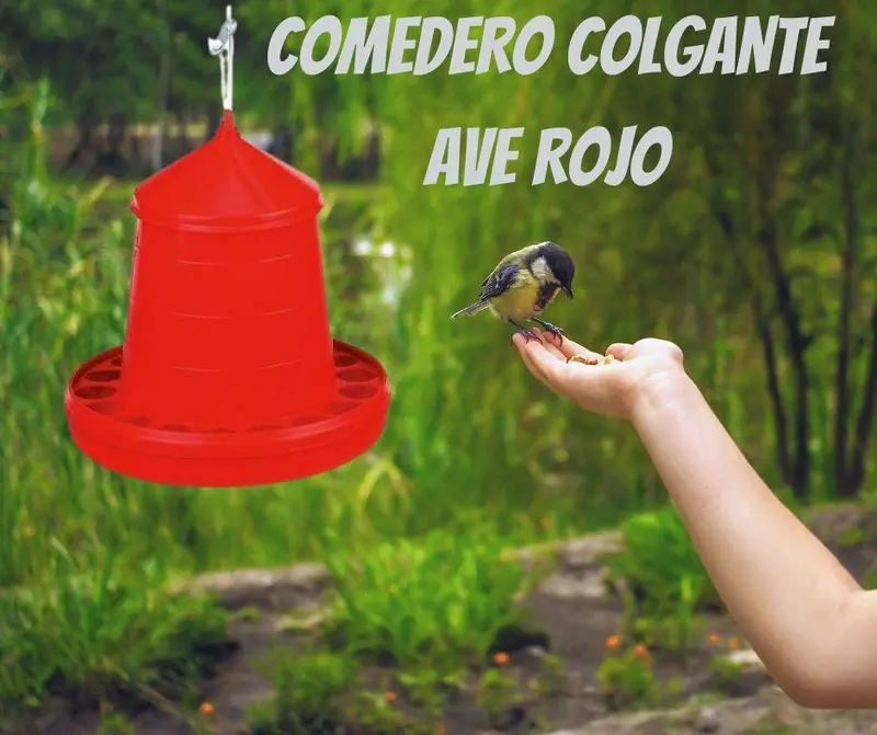 Comedero colgante para Aves "Ave Rojo"
