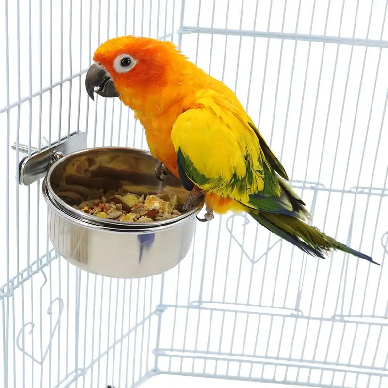 Comedero para semillas de pájaros, para mascotas, de acero inoxidable, con soporte de abrazadera para loros medianos y grandes, conos solares, caique, cacatúa, gris africano, macaws, Amazon