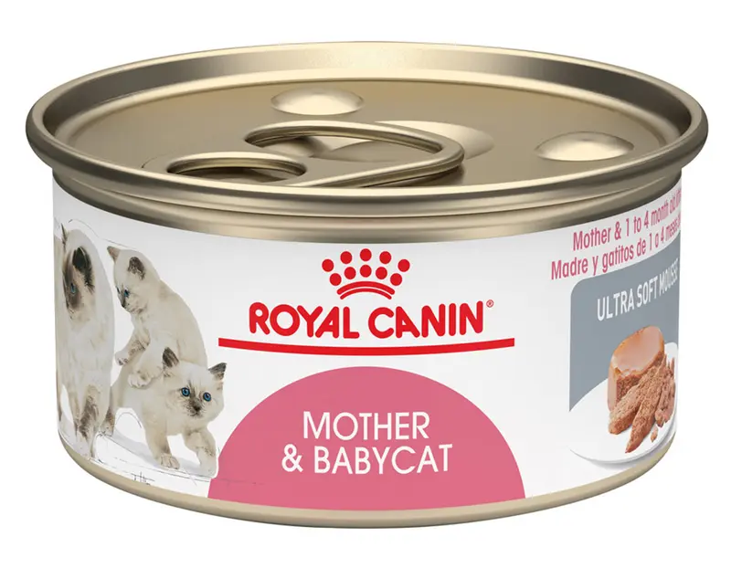 Comida Húmeda Para Gato Royal Feline Mother & Baby Lata 145g