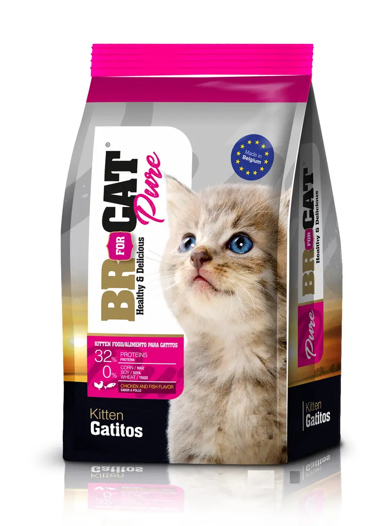 Comida Para Gatitos Br For Cat