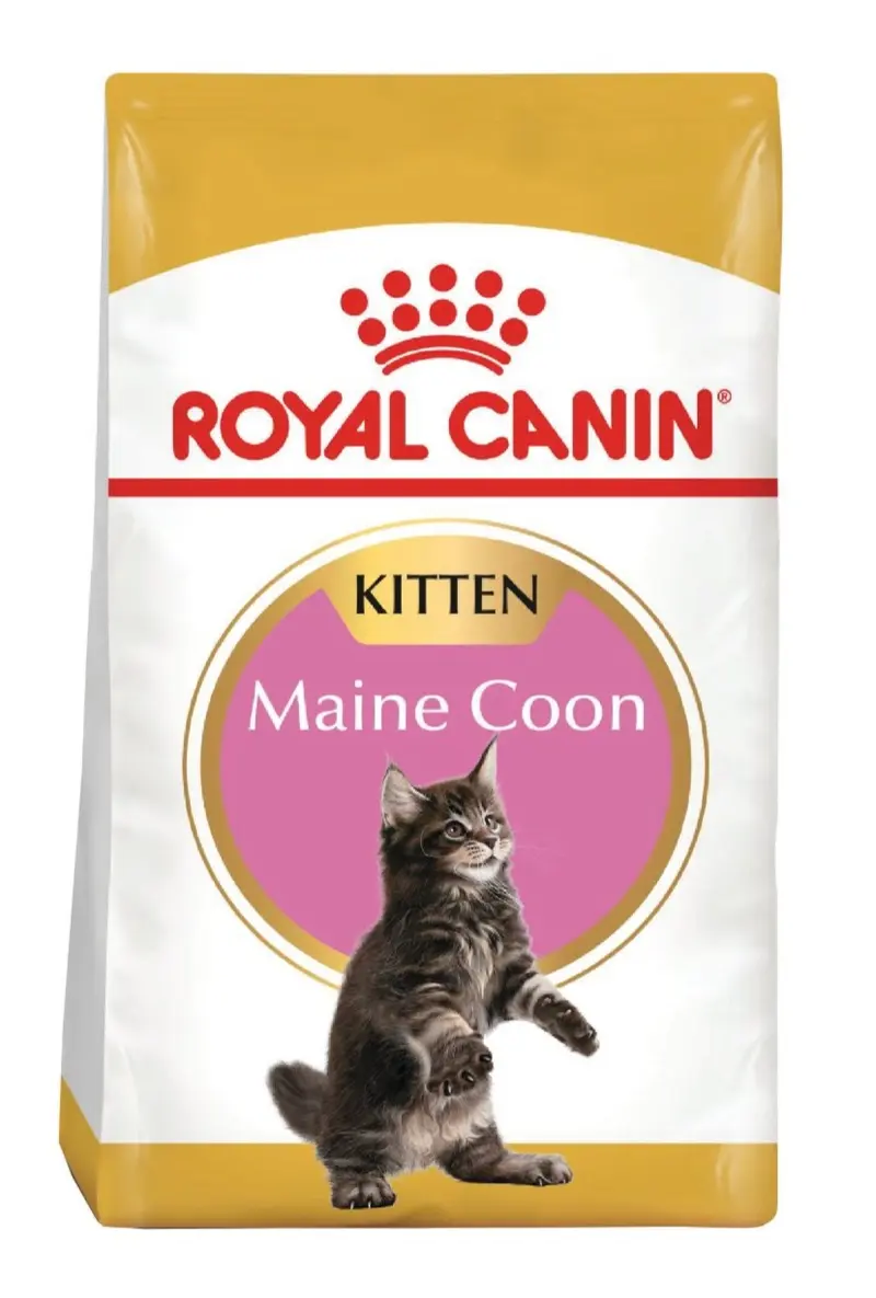 Comida Para Gato Royal Canin Feline Maine Coon Kitten 4Kg