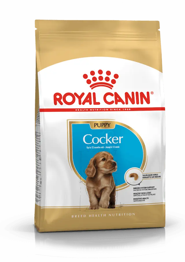 Comida Para Perro Royal Canin Cocker Puppy 3 Kg