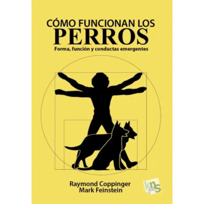 Cómo funcionan los perros