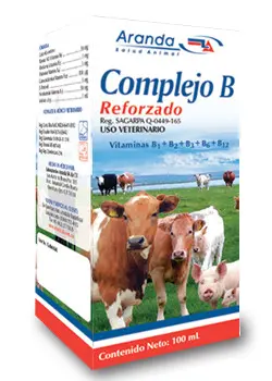 Complejo B Reforzado Frasco con 100 ml