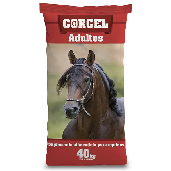 CORCEL ADULTOS 40 KL