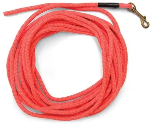 Correa anaranjada SportDOG