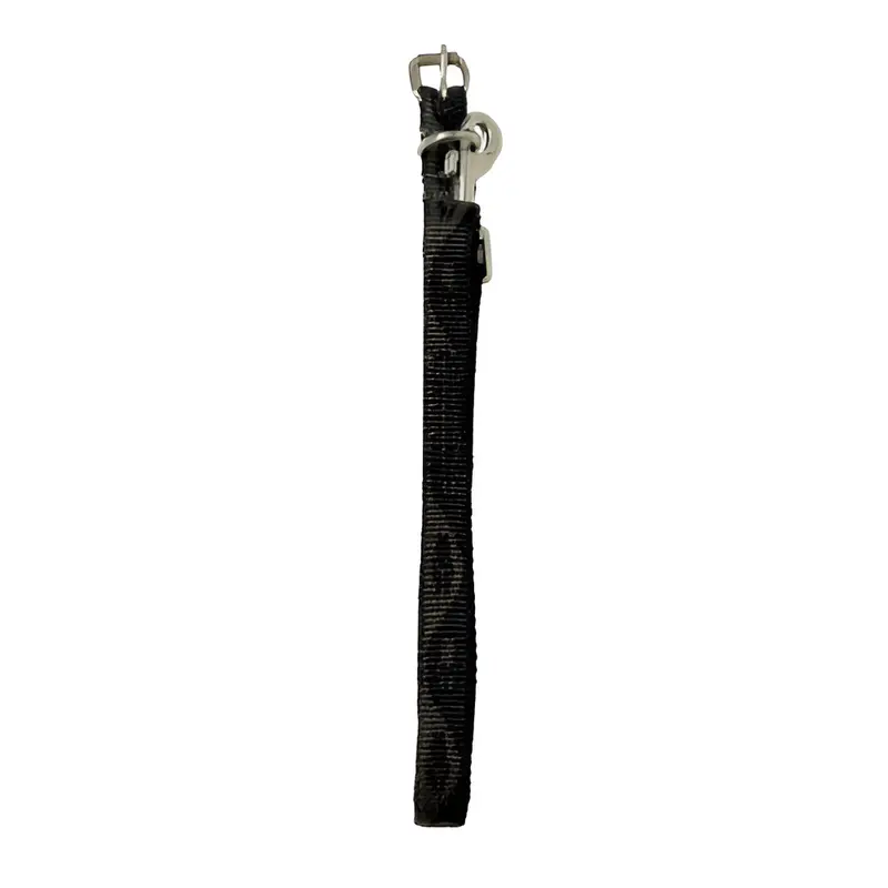 Correa+Collar #14 Sencillo