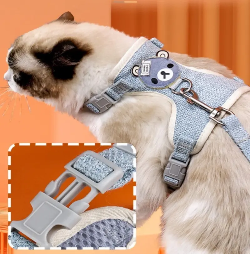 Correa Con Pechera Para Gato