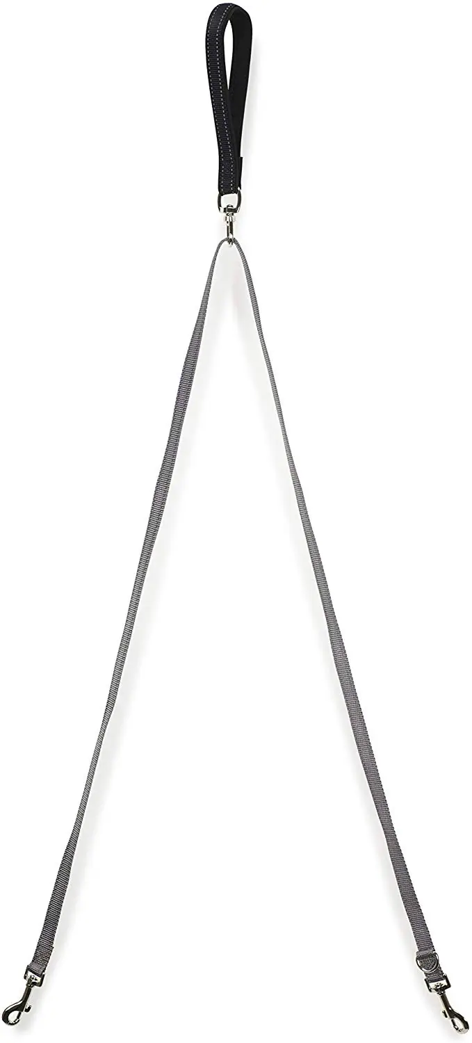 Correa de control de dos puntos PetSafe, correa de nailon acolchada y reflectante que se convierte en una sola correa, funciona con arneses 3 en 1.