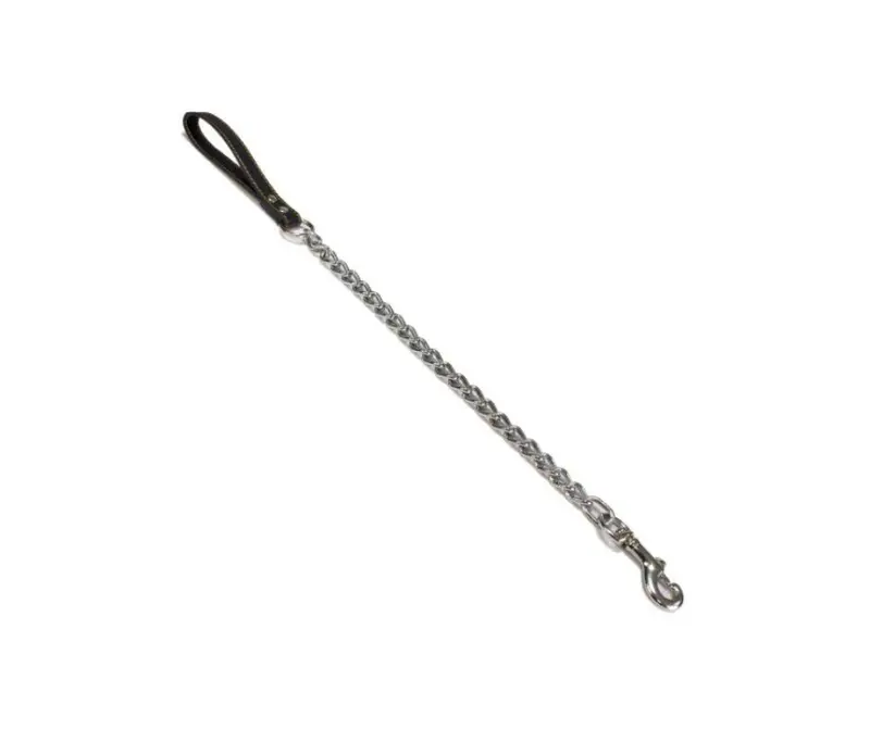 Correa de Metal y Piel para Perros Arquivet