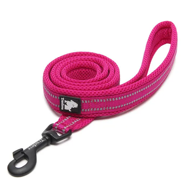 Correa de paseo para perros de nylon